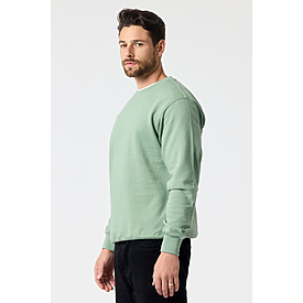 ADULT ESSENTIAL CREW SWTSHRT SAGE HTR