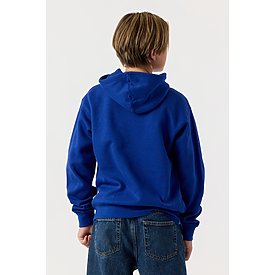 YOUTH PULLOVER HOODIE ROYAL Back