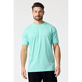 MEN'S VALUE TEE CELADON