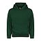YOUTH PULLOVER HOODIE FOREST