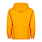 YOUTH PULLOVER HOODIE GOLD Back