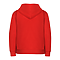 YOUTH ZIPPER HOODIE RED Back
